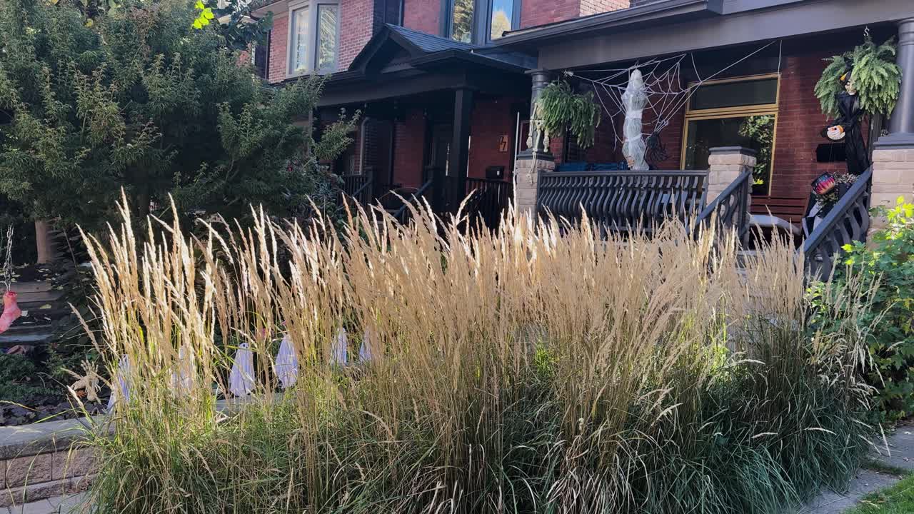 Fixed shot showing a house in Toronto decorated for Halloween with a large spider web and garden plants in the foreground