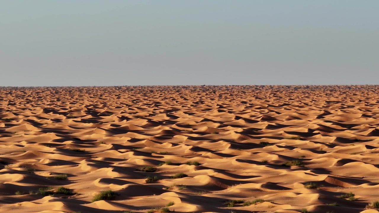 Vista aerea con drone di imponenti dune di sabbia dorata nel Sahara tunisino al tramonto. Paesaggio desertico infinito del Grand Erg Orientale durante l'ora d'oro. Natura incontaminata e remota.