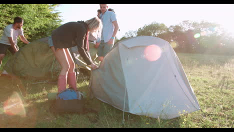 group of young friends pitching tents on camping holiday