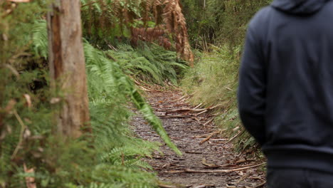 hombre caminando por una pista forestal en el parque nacional de otway ranges, australia