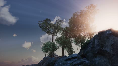 sun beams through trees