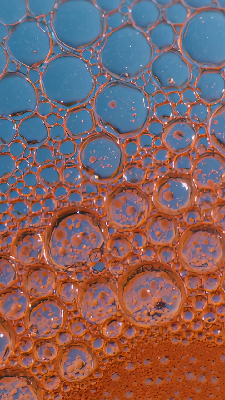 Video verticale: Reagendo a un piccolo movimento, celle di schiuma si spostano in un vassoio, mostrando bordi arancioni, blu.