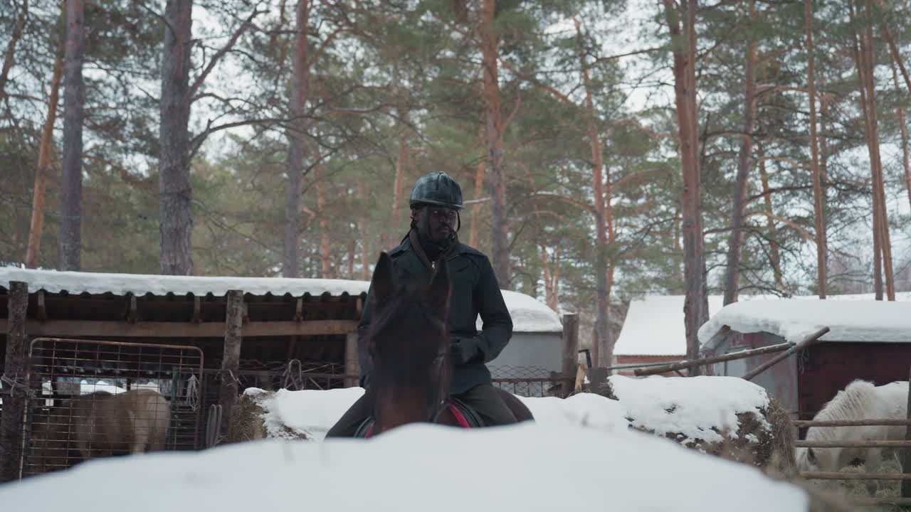 Jinete con casco junto a una valla en un establo y un patio nevado; retrato de composición cercana que muestra una inspección minuciosa de la montura, vallas rústicas y pinos; momento tranquilo de preparación antes de montar, concentrado.
