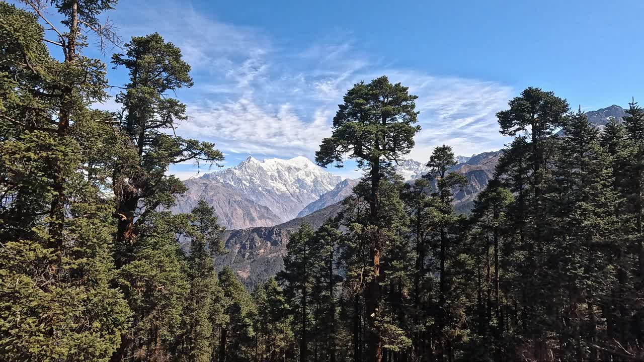 hermoso bosque montañoso alpino con cumbres nevadas del himalaya en el fondo