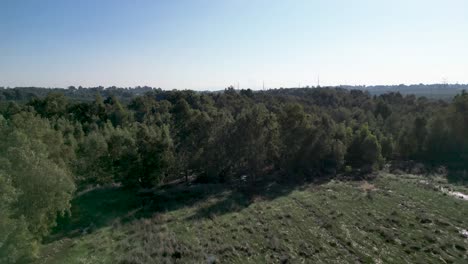 Videos-De-Drones-De-4k-Del-Estanque-De-Invierno-De-Rehovot,-La-Vida-Aislada-De-La-Temporada-De-Lluvias,-Antes-De-La-Inundación,-Rehovot-Israel