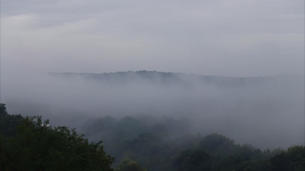 Kabut di atas hutan. Selang waktu