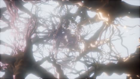 Journey-through-a-neuron-cell-network-inside-the-brain