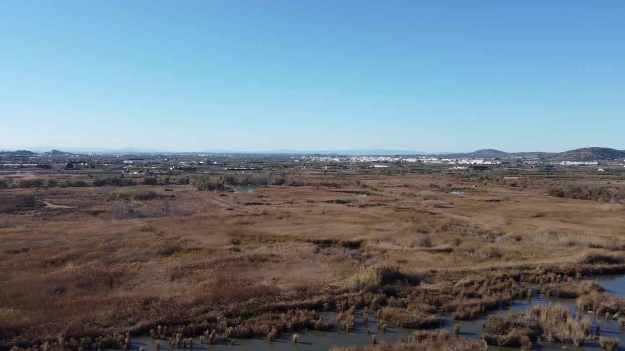 paisaje de vegetación del delta de la laguna, mar mediterráneo valencia españa, aérea