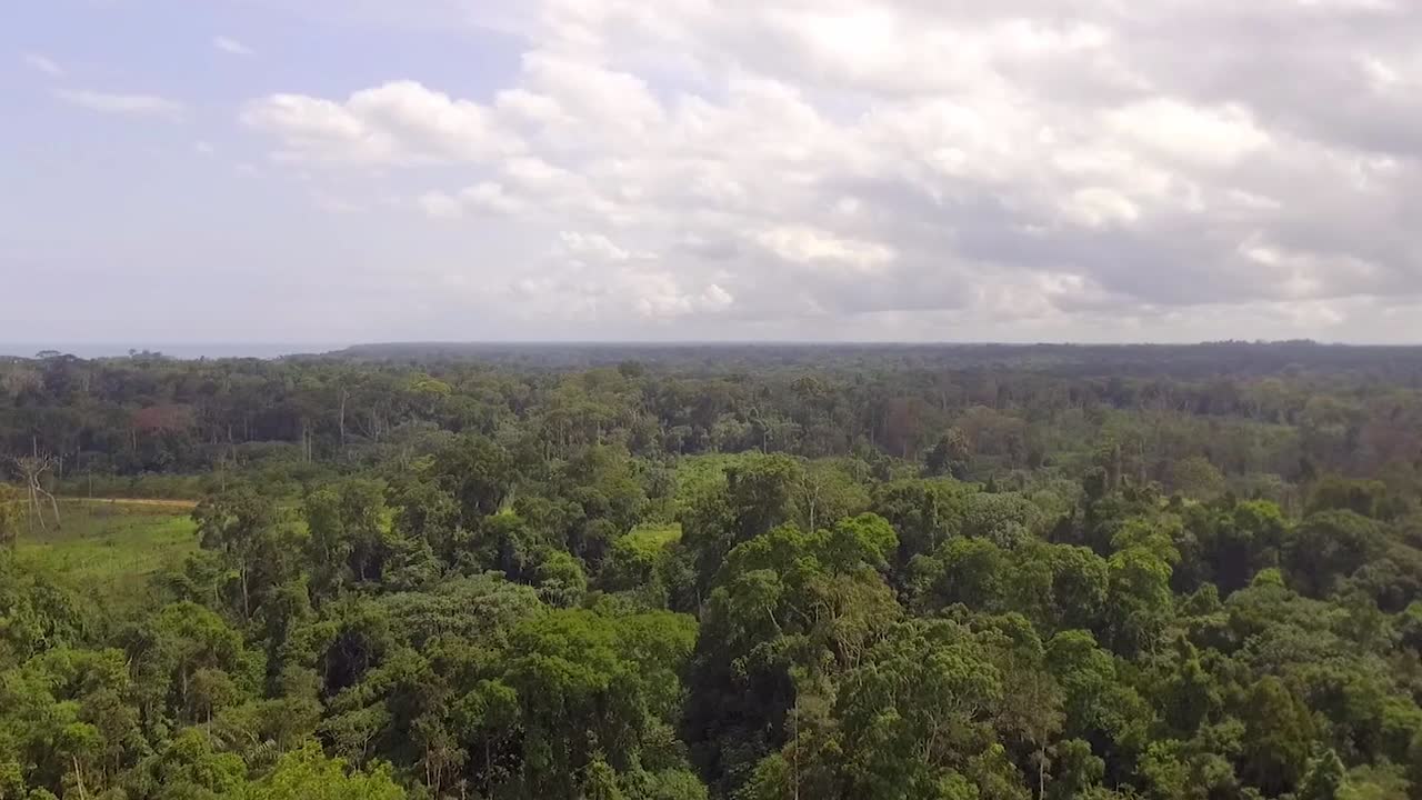 vista aérea de drones sobre la interminable jungla africana, en un día nublado, en el bosque de nanga eboko, haute-sanaga, sur de camerún