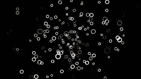 abstract background with animation of flying white circles on black background, seamless loop. animation. monochrome rings of white color in 3d motion