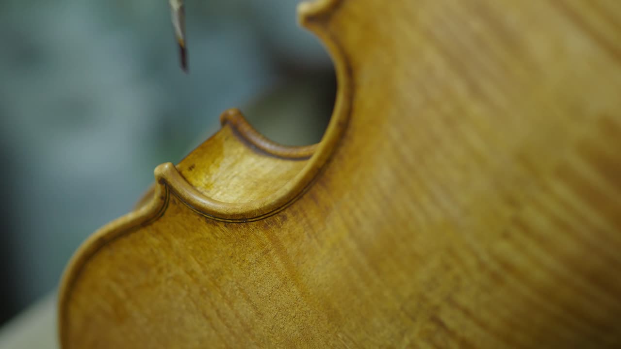 Detailed close-up captures a luthier’s brush applying antique-style varnish to the rib edge of a new violin, highlighting wood grain and craftsmanship in a traditional workshop