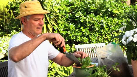 Reifer-Mann-Pflanzt-Pflanzen-Im-Garten