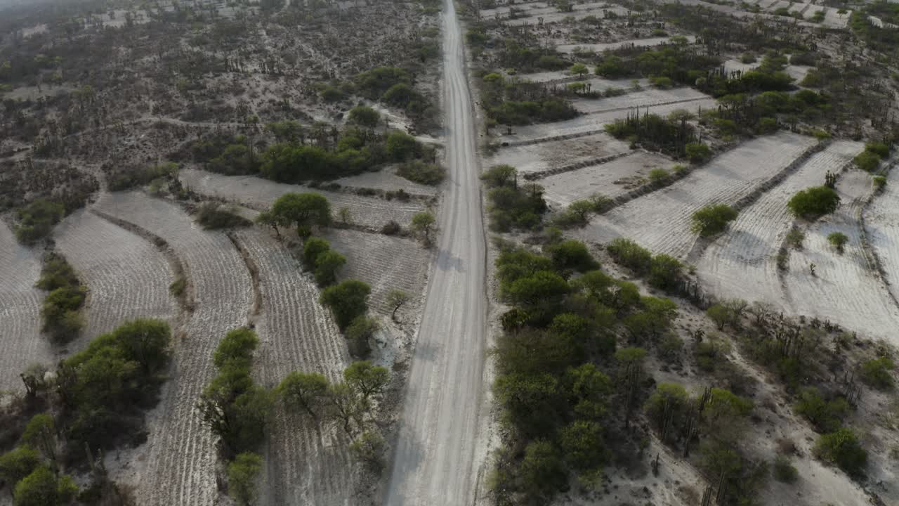 zapotitlán, carretera del desierto de puebla sin gente en méxico - antena