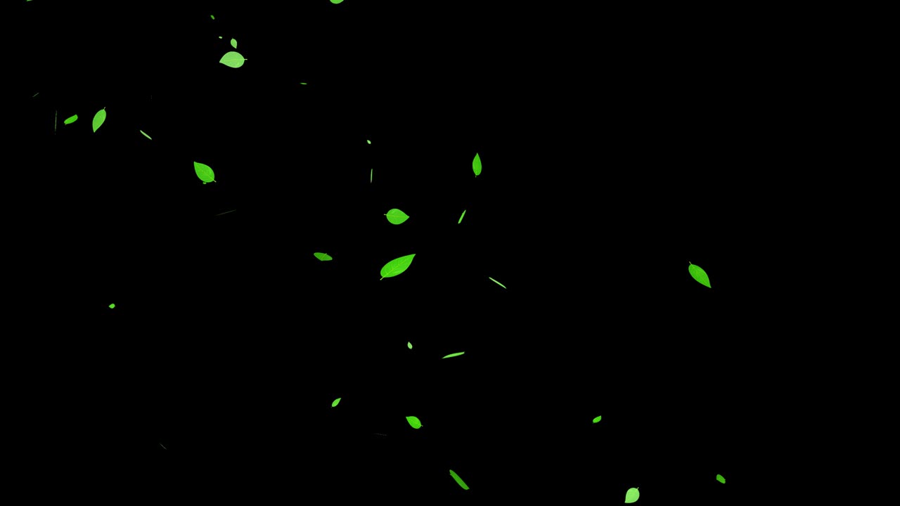 녹색 잎, 신선한 녹색, 떨어지는 입자, 모션 그래픽
