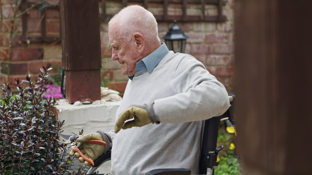 Senior Man Gardening in Wheelchair