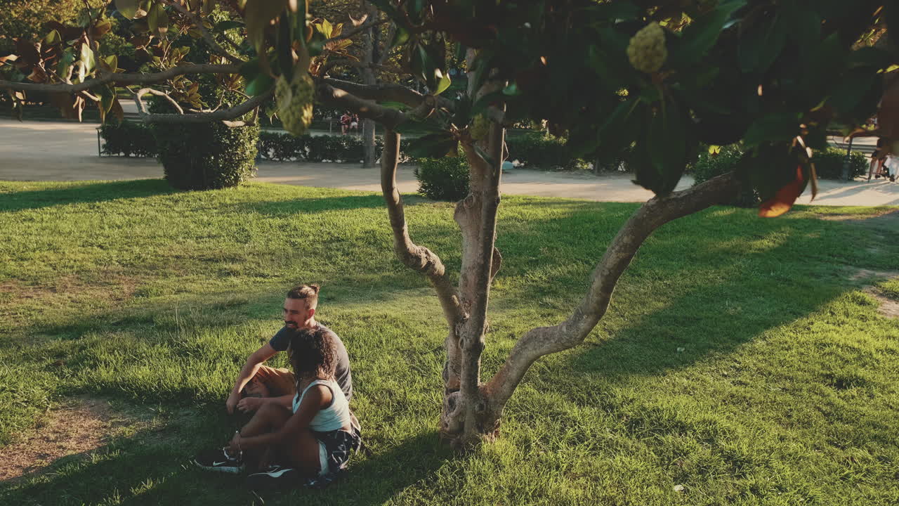 Couple Relaxing Under a Tree in a Park