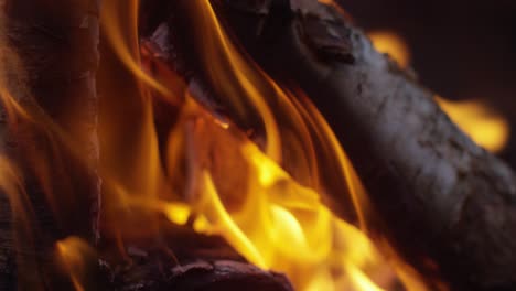 Burning-Logs-Slow-Motion-4K-17