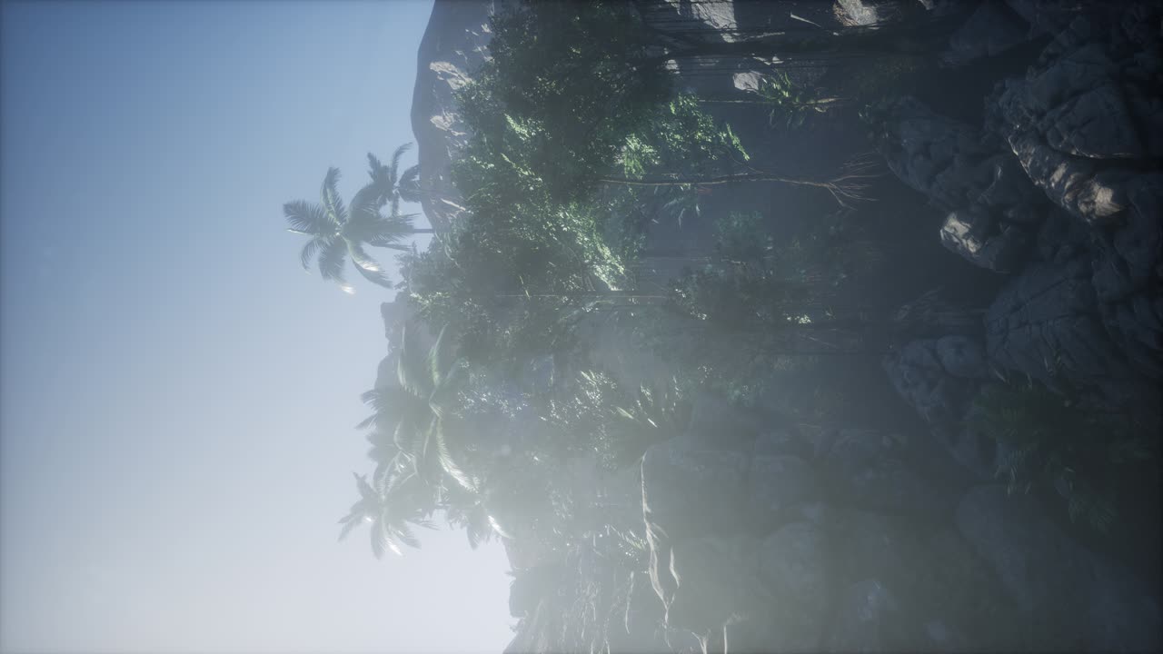 los rayos del atardecer a través de las palmeras