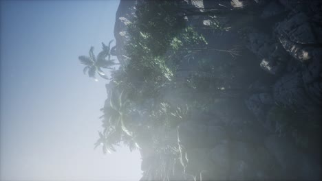 sunset beams through palm trees