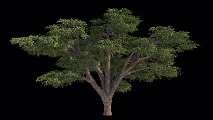 Albero Isolato con Foglie Verdi che Ondeggiano su Sfondo Nero