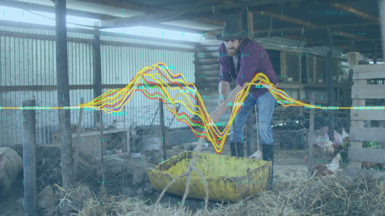 Man grabbing loose straw overhead and raking with pitchfork inside chicken coop filling trough