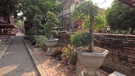 a peaceful stroll through a serene temple garden.