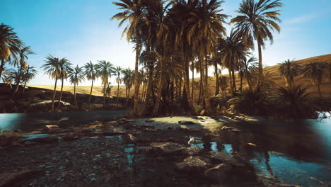 lush palm trees surround a tranquil oasis in a desert landscape at sunset