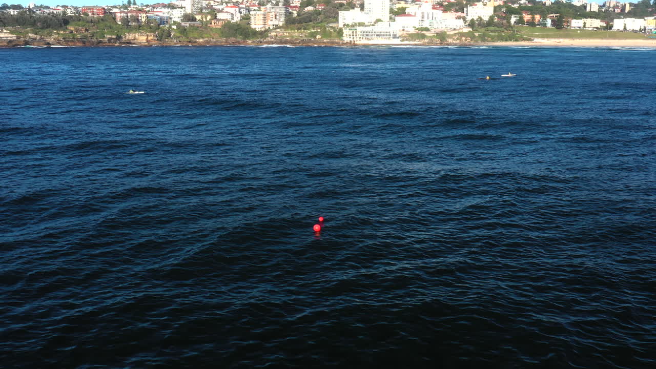 línea de tambores de tiburones en bondi bay, sydney, australia
