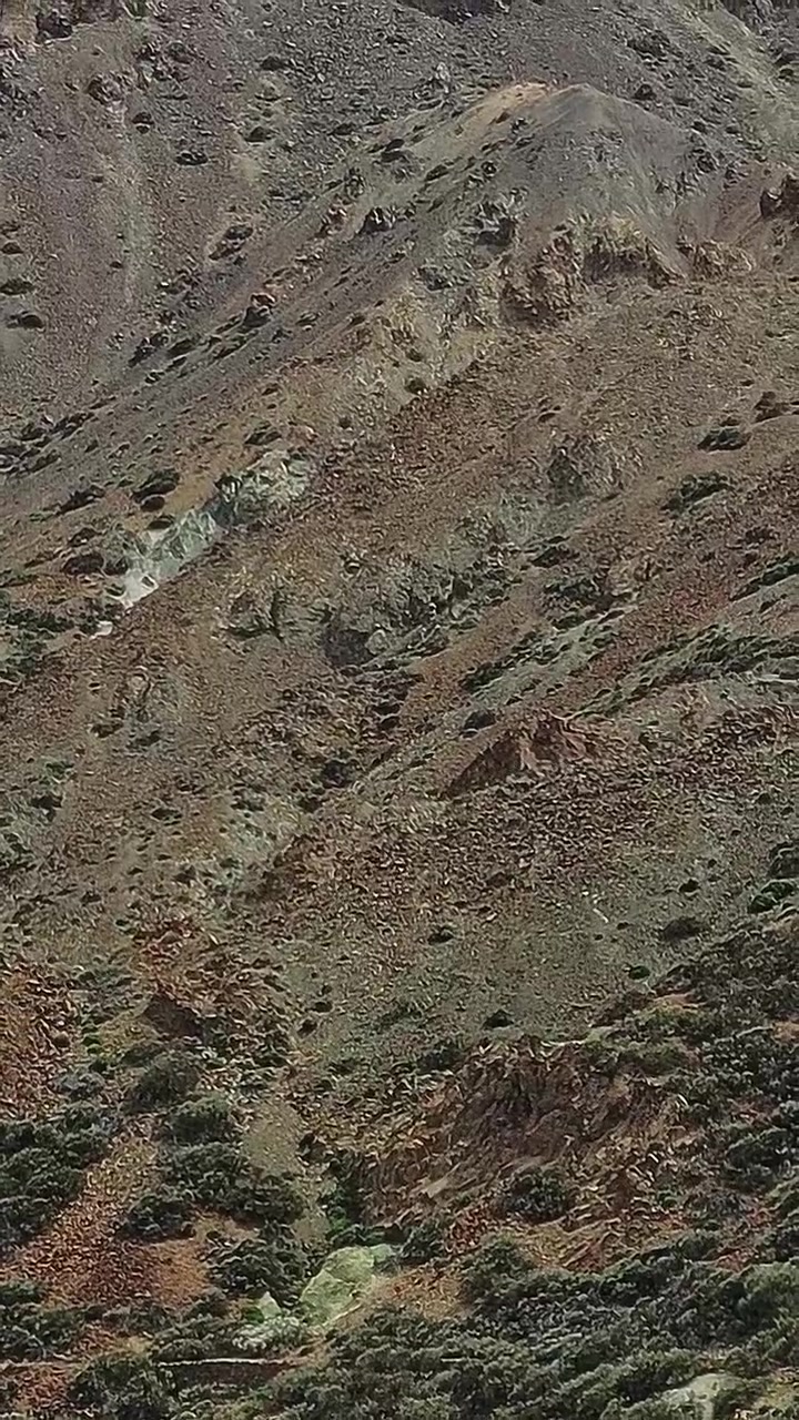 Esplorando il paesaggio roccioso dell'isola di Tenerife, in Spagna, alla luce del giorno