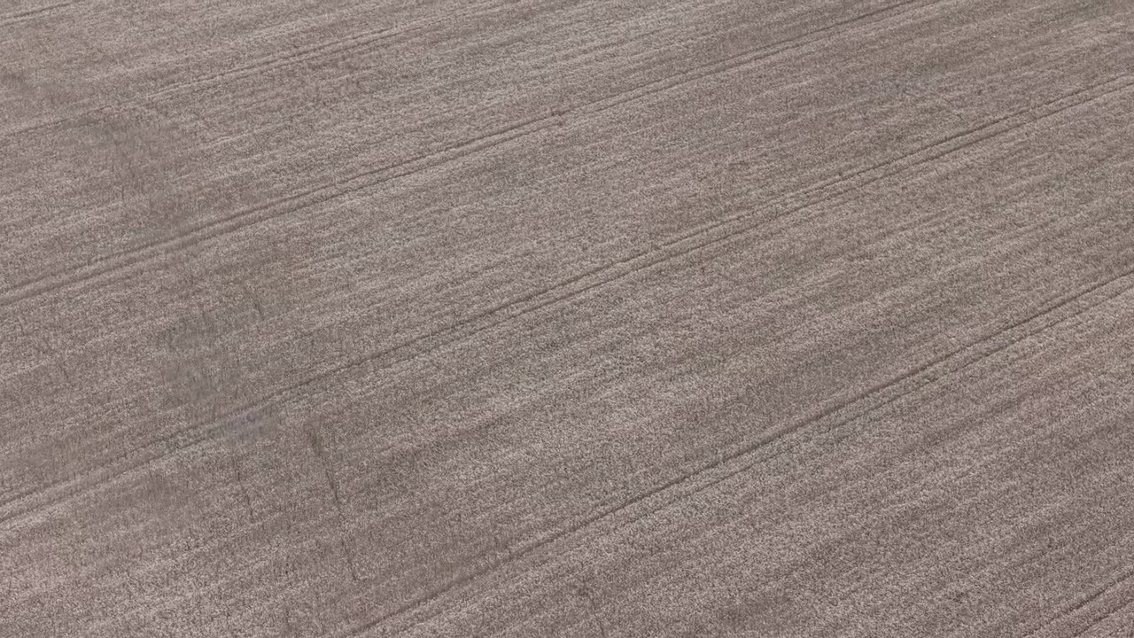 An abstract natural background displays dry earth texture with distinct parallel diagonal lines, ideal for copy space or design elements.