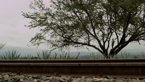 railroads in the center of the agave valleys of tequila jalisco, mexico