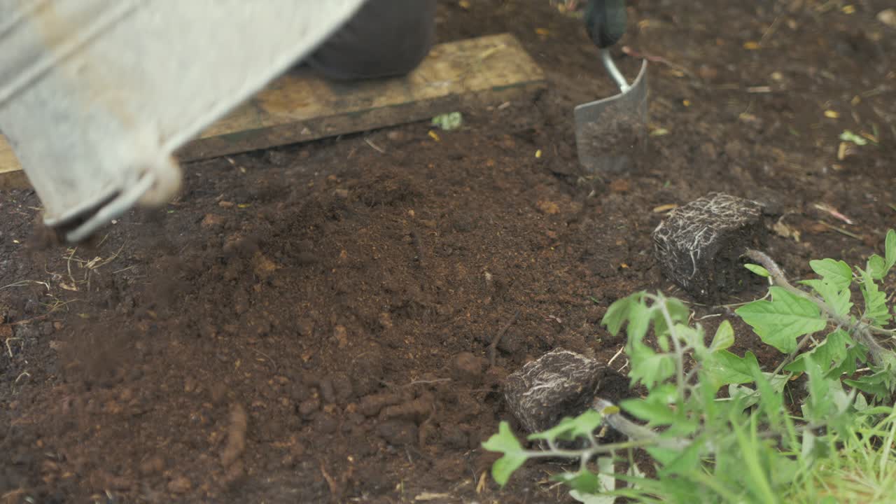 Versare compost e terriccio misti da un secchio
