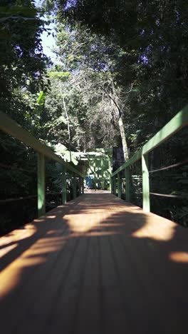 a vertically filmed, slow upward tilt from a wooden walkway through dense tropical greenery, revealing a building in the distance with a subtle lens flare