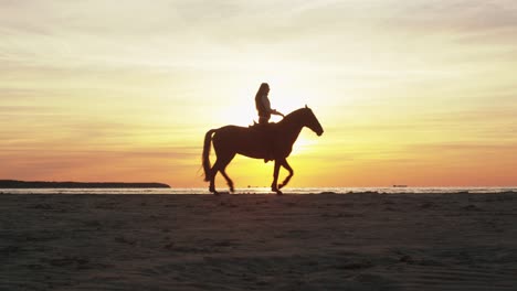 silueta de dos jinetes a caballo en la playa a la luz del atardecer.