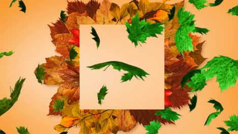 Animation-of-multiple-autumn-leaves-falling-on-brown-background