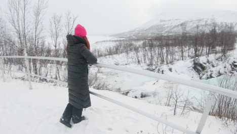 girl standing by a handrail and looking over the winter landscape in sweden