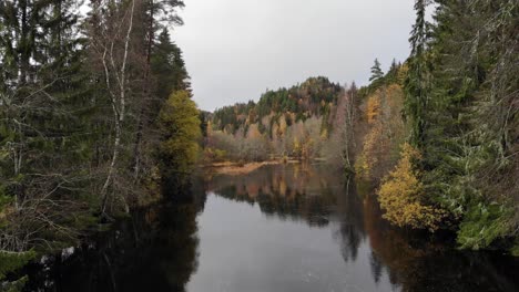 Drohnenaufnahmen-Eines-Ruhigen,-Dunklen-Waldflusses-Im-Herbst