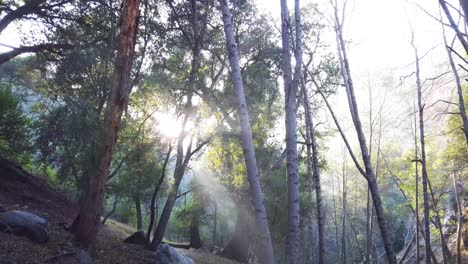 afuera en la naturaleza en switzer falls en san bernardino panoramizando mientras el sol se pone por el día