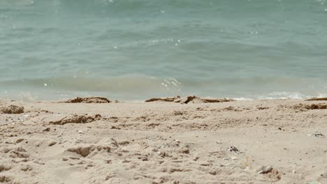 Man-walks-in-fron-of-camera-in-the-shore-of-israel's-blue-Mediterranean-coast-when-the-waves-hit-the-distant-breakwater,-people-in-the-water-and-a-long-antenna-can-be-seen-in-the-view