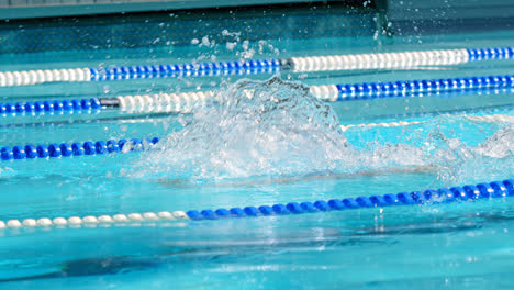 nadador masculino nadando dentro de la piscina 4k