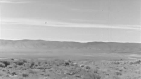 mountains with desert vegetation stretch across an arid landscape under a sky full of clouds