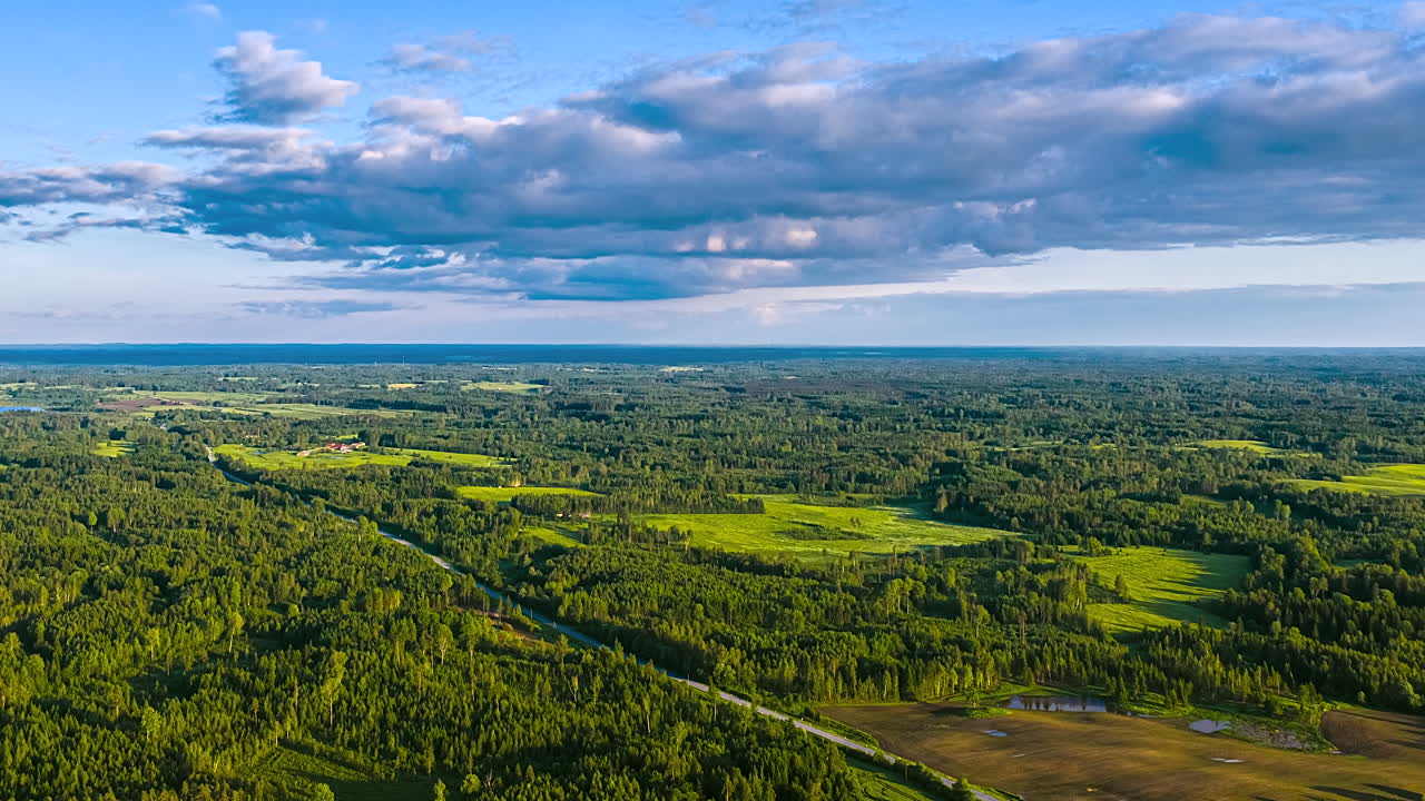 Lush green forest view from above, serene and expansive