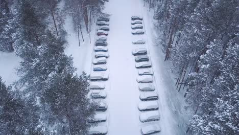 estacionamiento nevado en un bosque