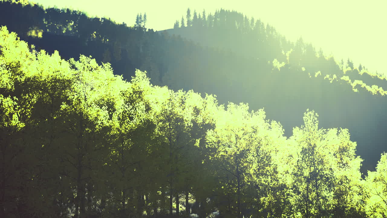Greenery brightens a peaceful mountain landscape at golden hour