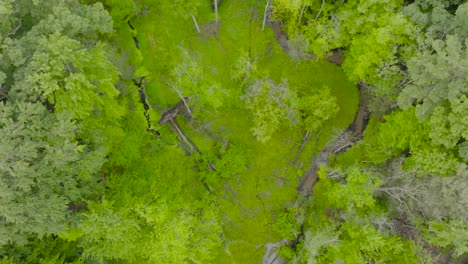 top down look at a marshy area in muskegon