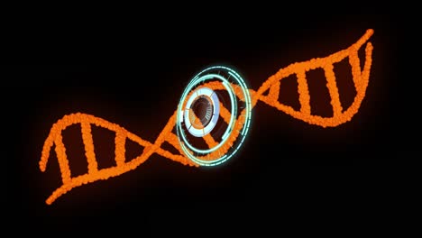 Animation-Des-Scope-Scannens-über-Einem-DNA-Strang-Auf-Schwarzem-Hintergrund