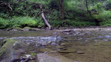 Rotierender-Zeitraffer-Des-Flusses-Im-üppigen-Wald