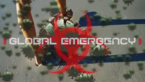 Digital-composite-video-of-hazard-sign-with-global-emergency-text-against-low-section-of-woman