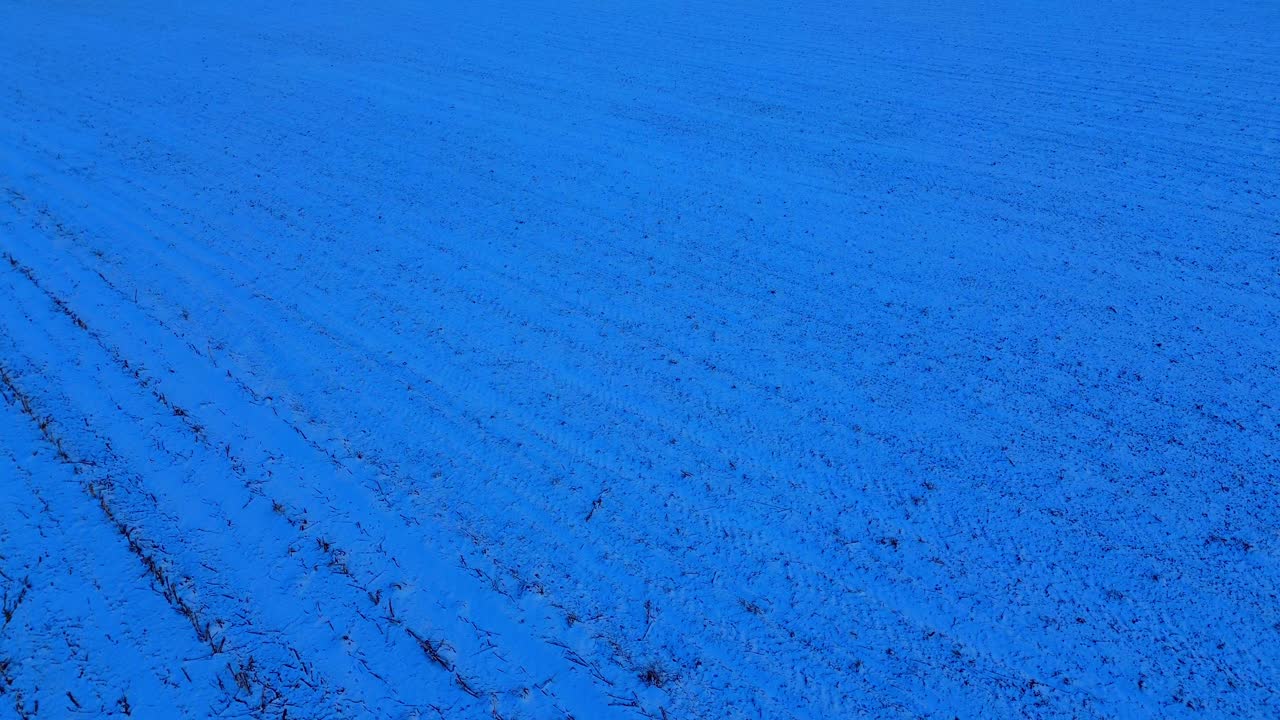 눈 인 농장 위 의 황혼 의 빛