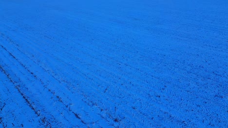 twilight glow over a snow-covered agricultural field